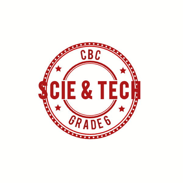 SCIENCE AND TECHNOLOGY GRADE 6
